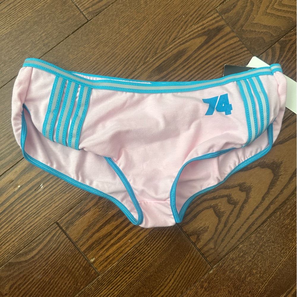 Hustler Hollywood Pink Shorts with Blue Stripes